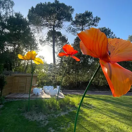 Dom wakacyjny House Zyx Le Touquet